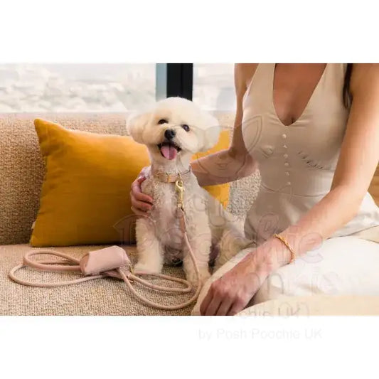 Fuzzyard Life Atelier Poop Bag Dispenser in Soft Blush Pink - Fuzzyard - 2