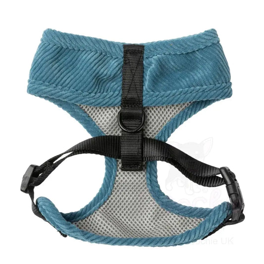 Fuzzyard Life Corduroy Dog Harness in French Blue - Fuzzyard - 2