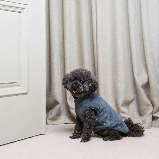 Fuzzyard Life Corduroy Dog Jacket - Slate Grey - Fuzzyard - 2