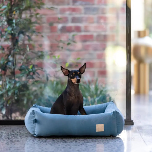 Fuzzyard Life Cotton Dog Bed in French Blue - Fuzzyard - 2