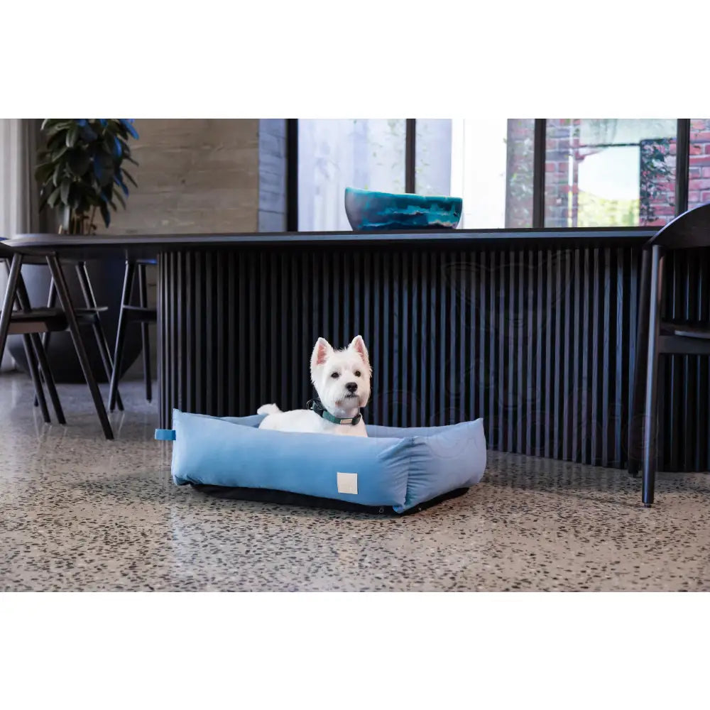 Fuzzyard Life Cotton Dog Bed in French Blue - Fuzzyard - 5