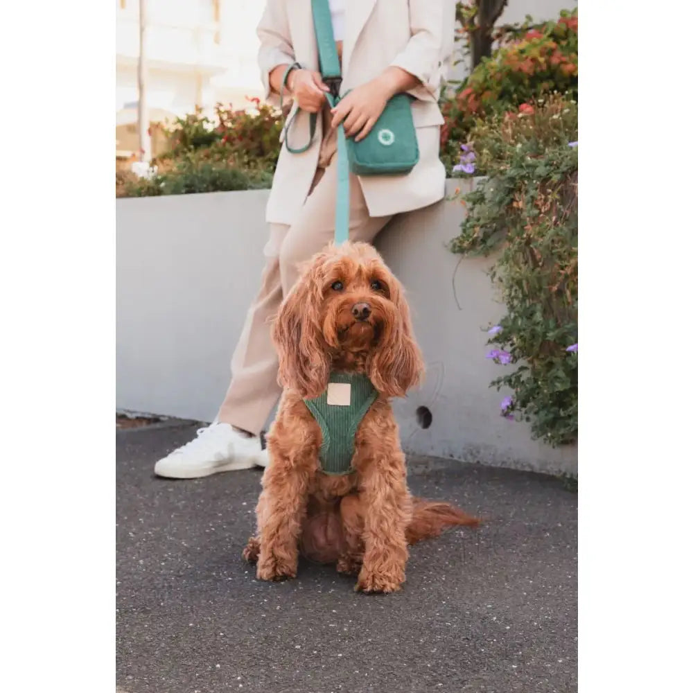 Fuzzyard Life Cross Body Walking Bag in Myrtle Green - Fuzzyard - 3