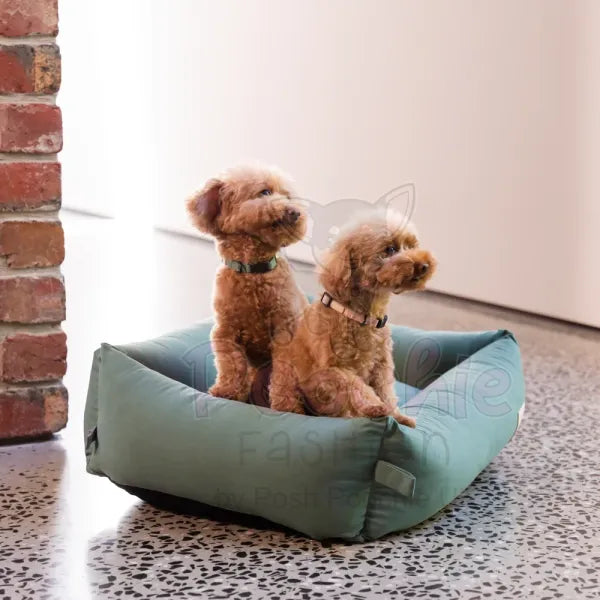 Fuzzyard Life Dog Collar in Myrtle Green Fuzzyard 3