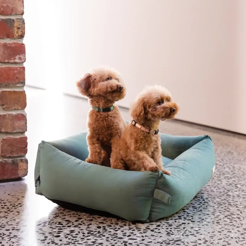 Fuzzyard Life Dog Collar in Myrtle Green - Fuzzyard - 3