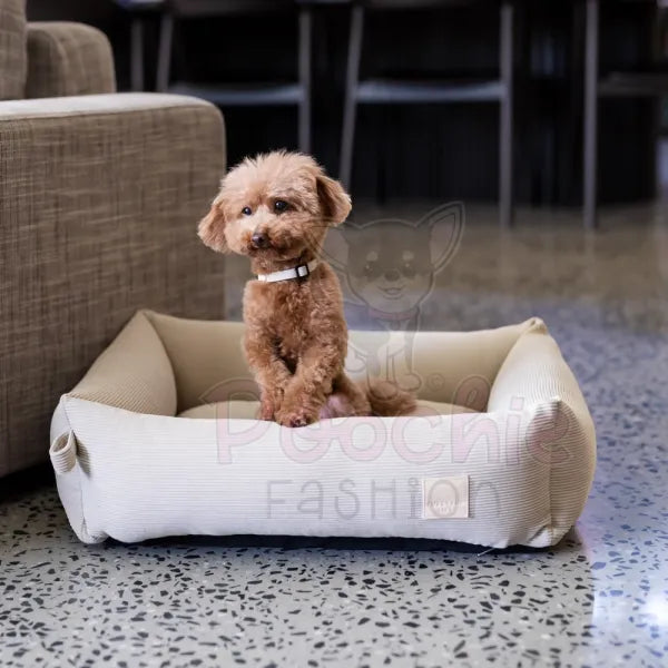 Fuzzyard Life Dog Collar in Sandstone Fuzzyard 2