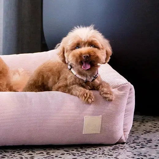 Fuzzyard Life Dog Collar in Soft Blush Pink - Fuzzyard - 2