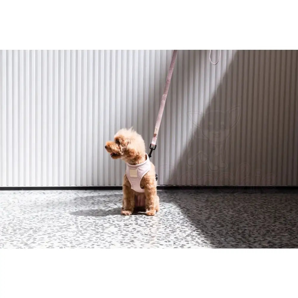 Fuzzyard Life Dog Harness in Soft Blush Pink - Fuzzyard - 3