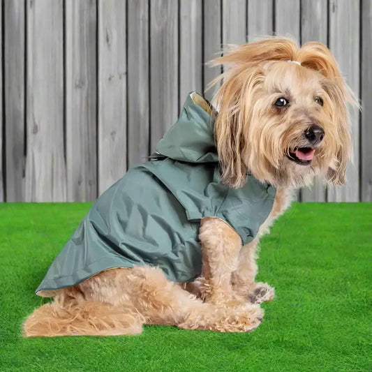 Fuzzyard Life Dog Raincoat in Myrtle Green - Fuzzyard - 2