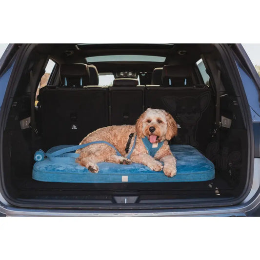 Fuzzyard Life Lounge Mat in French Blue - Fuzzyard - 2