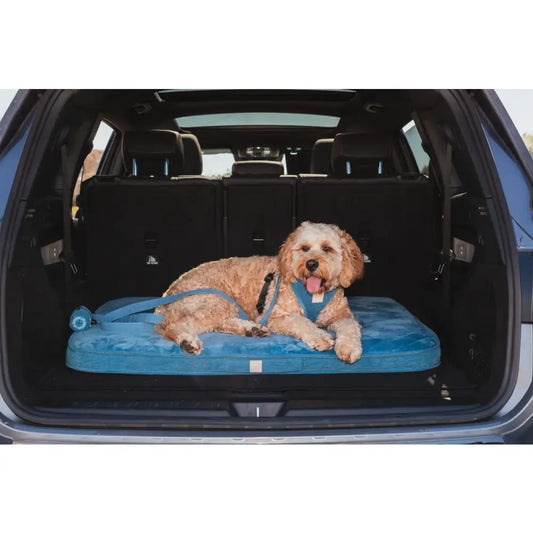 Fuzzyard Life Lounge Mat in French Blue - Fuzzyard - 2
