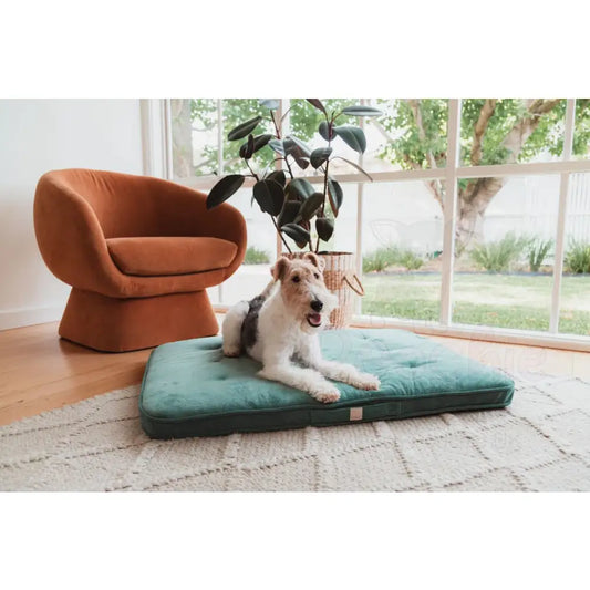 Fuzzyard Life Lounge Mat in Myrtle Green - Fuzzyard - 2