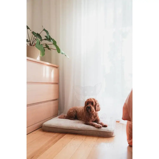 Fuzzyard Life Lounge Mat in Sandstone - Fuzzyard - 2