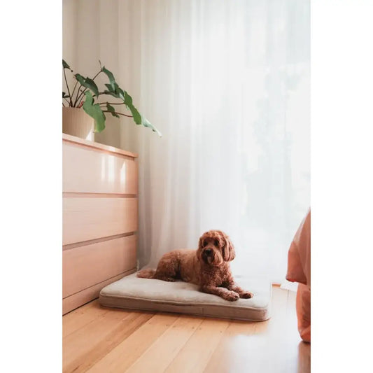Fuzzyard Life Lounge Mat in Sandstone - Fuzzyard - 2