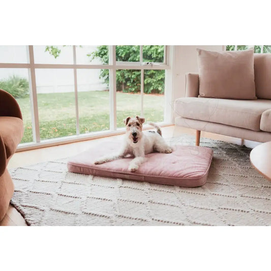 Fuzzyard Life Lounge Mat in Soft Blush Pink - Fuzzyard - 2