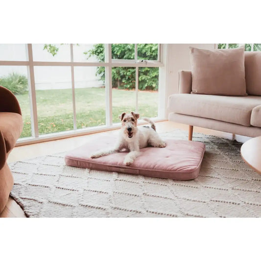 Fuzzyard Life Lounge Mat in Soft Blush Pink - Fuzzyard - 2