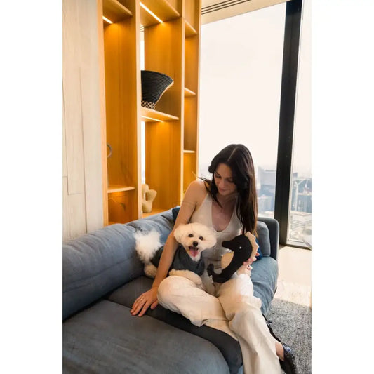 Fuzzyard Life Slate Grey Seahorse Dog Toy - Fuzzyard - 2