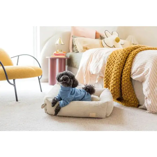 Fuzzyard Life Soft Touch Pyjamas in French Blue - Fuzzyard - 2