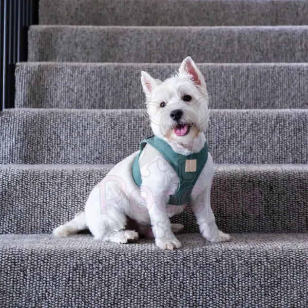 Fuzzyard Life Step in Dog Harness in Myrtle Green Fuzzyard 3