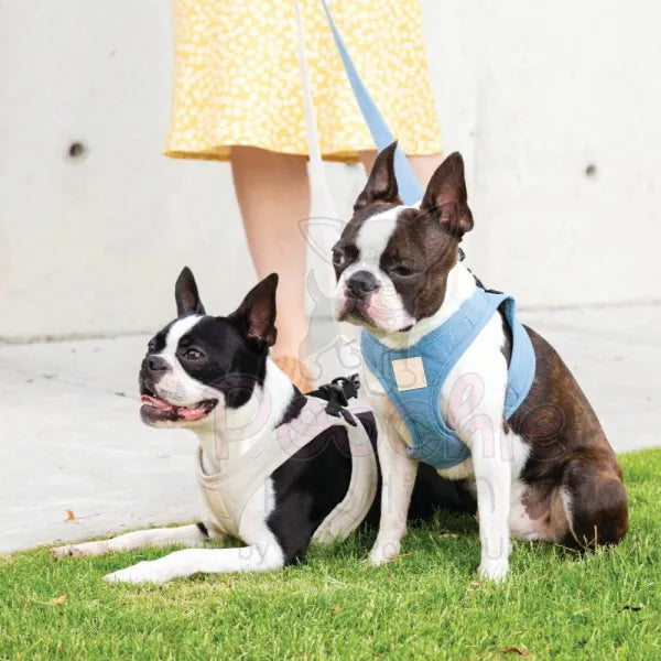 Fuzzyard Life Step in Dog Harness in Sandstone Fuzzyard 4
