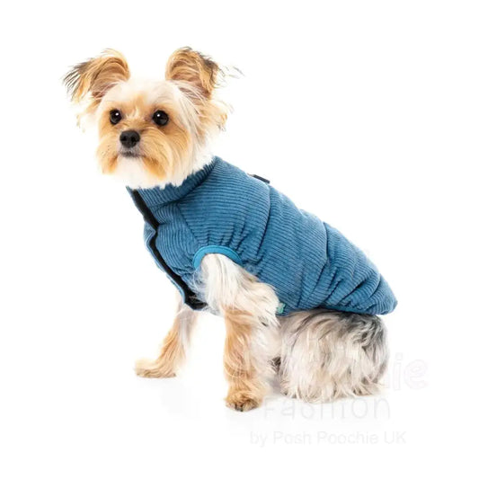 Fuzzyard Mosman Puffer Dog Jacket - Washed Blue - Fuzzyard - 2