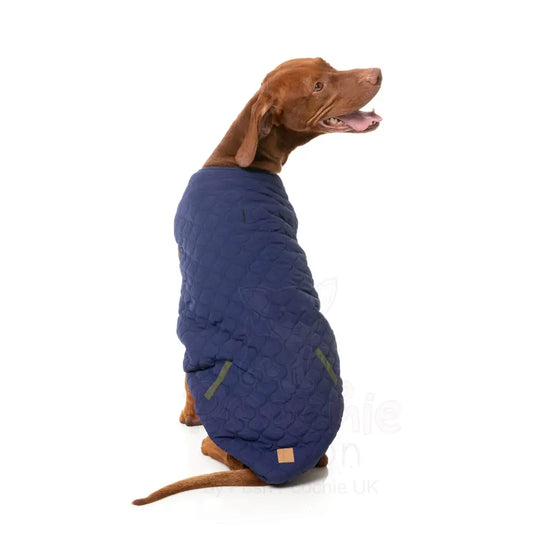 Fuzzyard Nara Reversible Dog Jacket - Dark Moss - Fuzzyard - 2