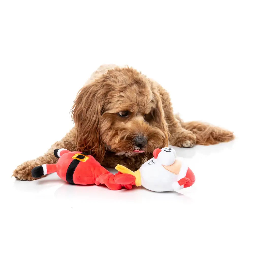 Fuzzyard Saint Neckolas Plush Christmas Dog Toy - Fuzzyard - 4