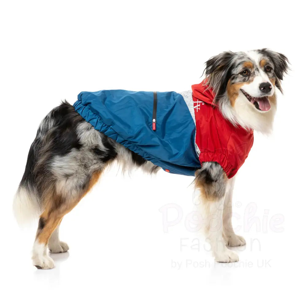 Fuzzyard Seattle Dog Raincoat - Red and Blue - Fuzzyard - 6