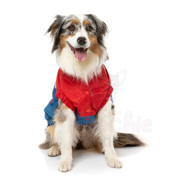 Fuzzyard Seattle Dog Raincoat - Red and Blue - Fuzzyard - 5