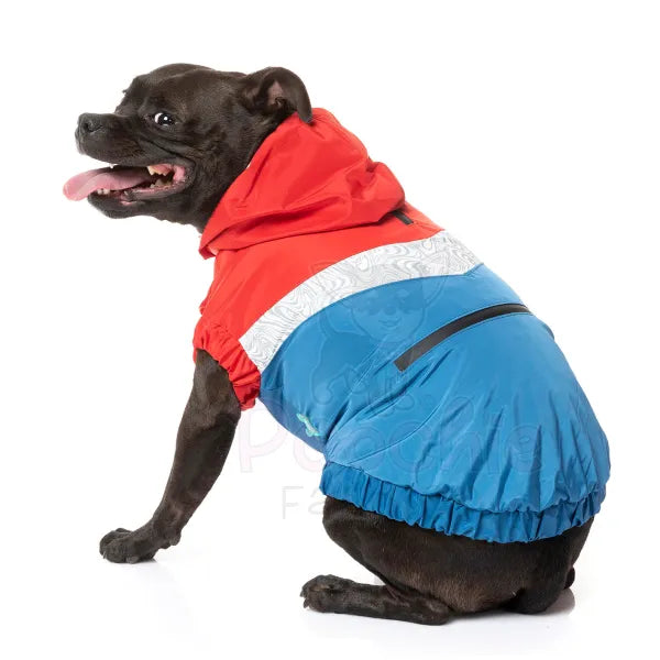 Fuzzyard Seattle Dog Raincoat - Red and Blue - Fuzzyard - 4