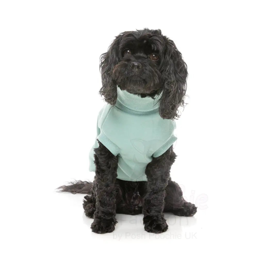 Fuzzyard Stevie 24 Dog Sweater - Mint - Fuzzyard - 5