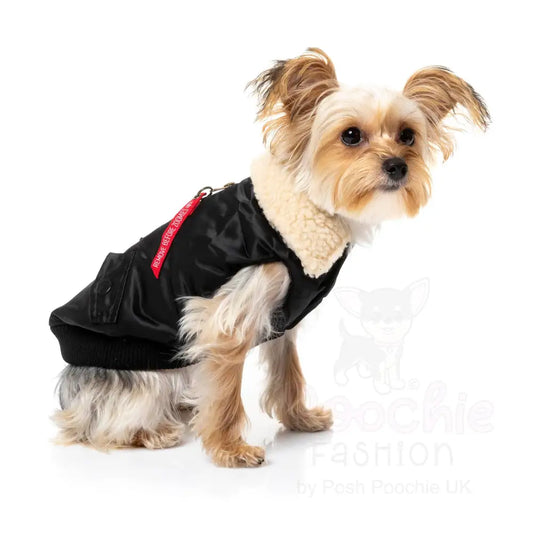 Fuzzyard the Zoomies Jacket - Black - Fuzzyard - 2