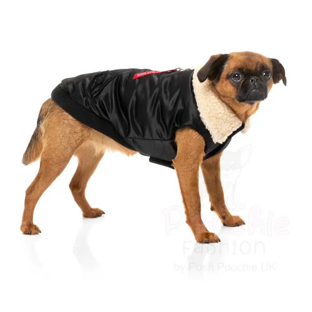 Fuzzyard the Zoomies Jacket - Black - Fuzzyard - 8