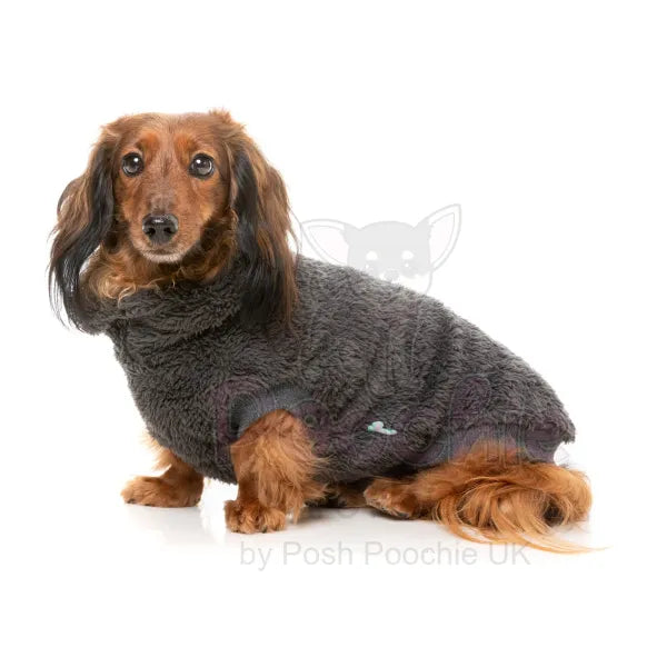 Fuzzyard Turtle Teddy 24 Sweater - Carbon Black - Fuzzyard - 5
