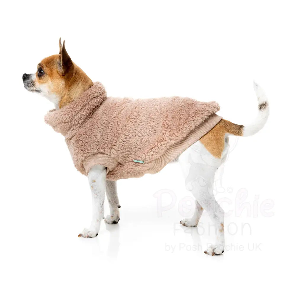 Fuzzyard Turtle Teddy 24 Sweater - Chai - Fuzzyard - 6