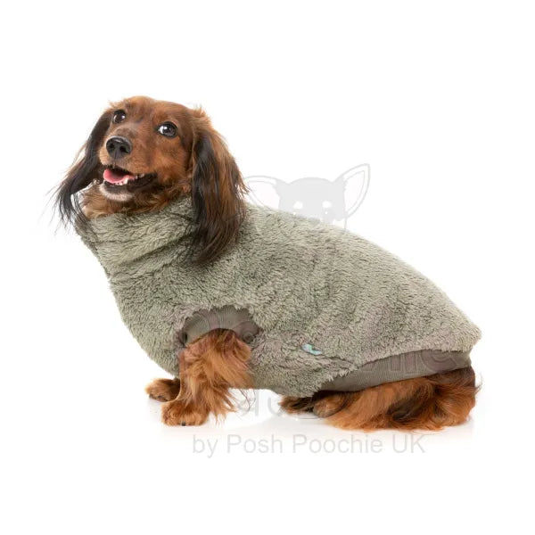 Fuzzyard Turtle Teddy 24 Sweater - Rosemary - Fuzzyard - 4
