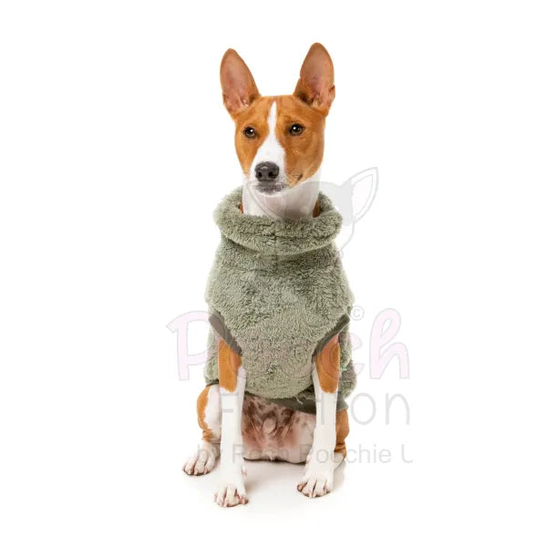 Fuzzyard Turtle Teddy 24 Sweater - Rosemary - Fuzzyard - 5