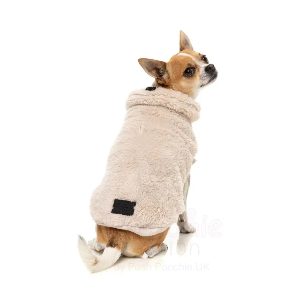 Fuzzyard Turtle Teddy 25 Sweater - Beige - Fuzzyard - 5