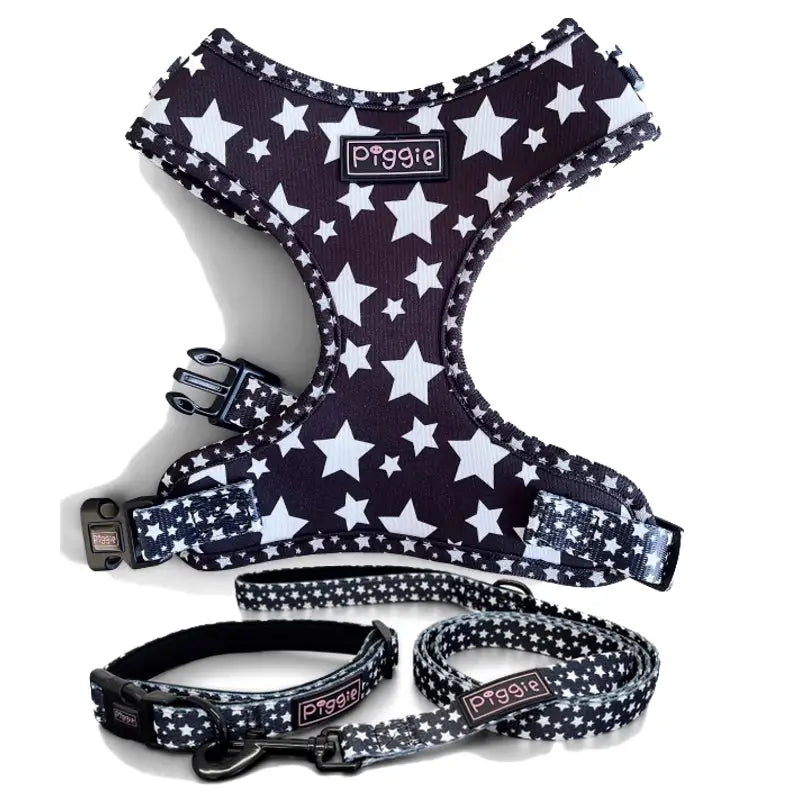Galaxy Dog Collar Black - Piggie - 4