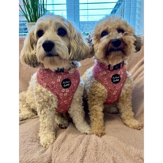 Garden Bloom Pink Floral Dog Harness - Pet Pooch - 2