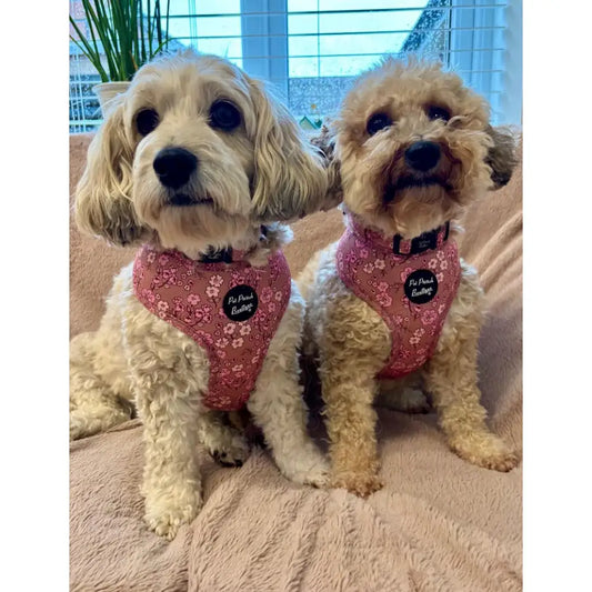 Garden Bloom Floral Dog Harness - Pet Pooch - 2