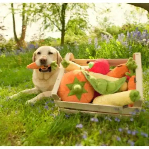 Garden Fresh Carrot Dog Toy by P.l.a.y - P.l.a.y - 3