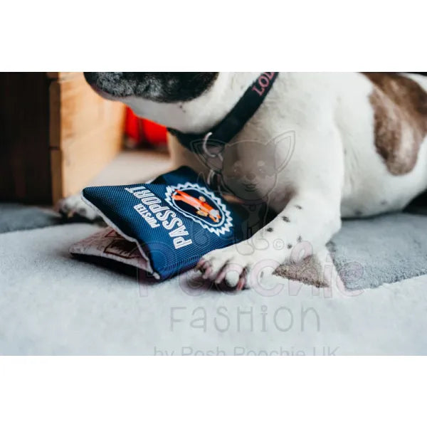 Globetrotter Pupster Passport Dog Toy by P.l.a.y P.l.a.y 3