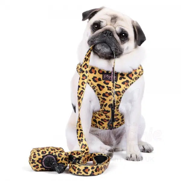 Golden Savannah Adjustable Neck Dog Harness - Piggie - 5