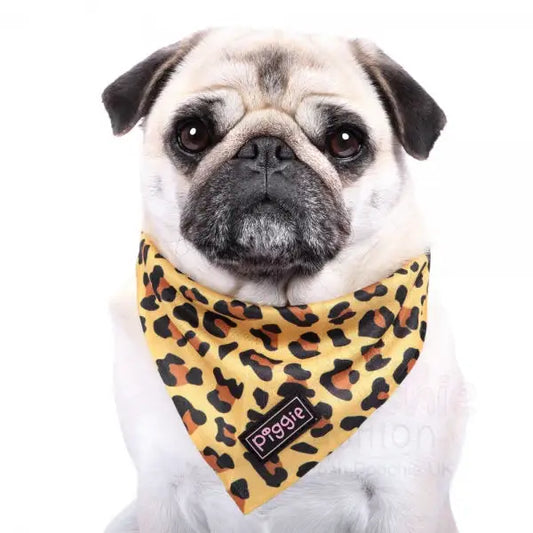 Golden Savannah Tie on Dog Bandana - Piggie - 2