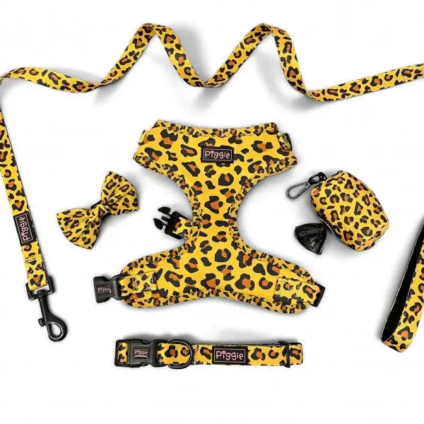 Golden Savannah Tie on Dog Bandana - Piggie - 3