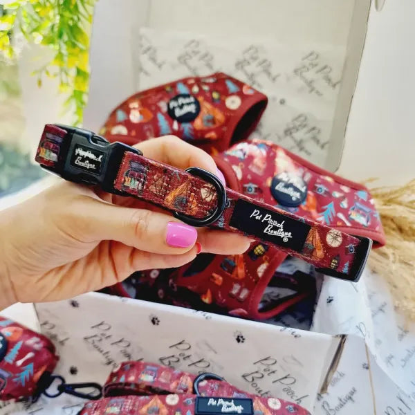 Great Adventure Dog Collar Pet Pooch 1