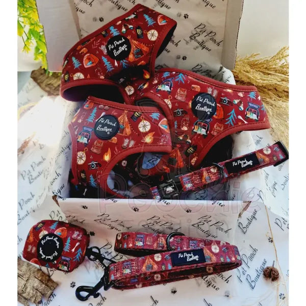 Great Adventure Dog Collar Pet Pooch 2