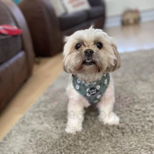 Green Meadow Floral Dog Harness Pet Pooch 2