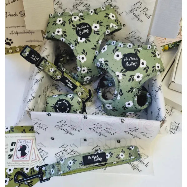 Green Meadow Floral Puppy Dog Collar - Pet Pooch - 2