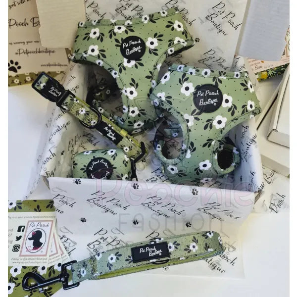 Green Meadow Floral Puppy Dog Collar Pet Pooch 2